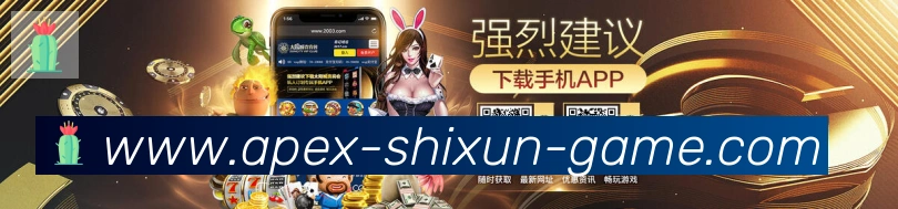 未来规划